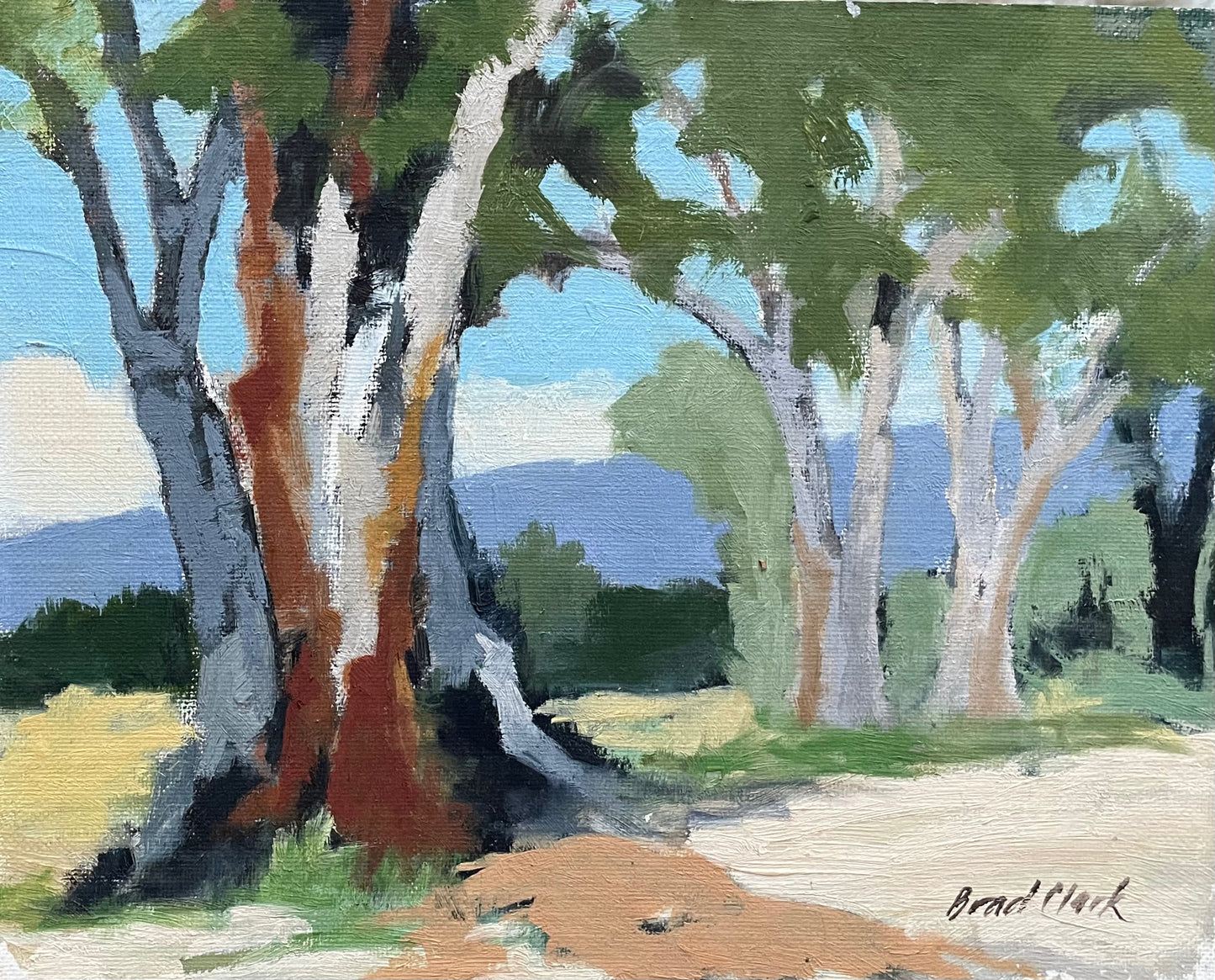 Cottonwoods