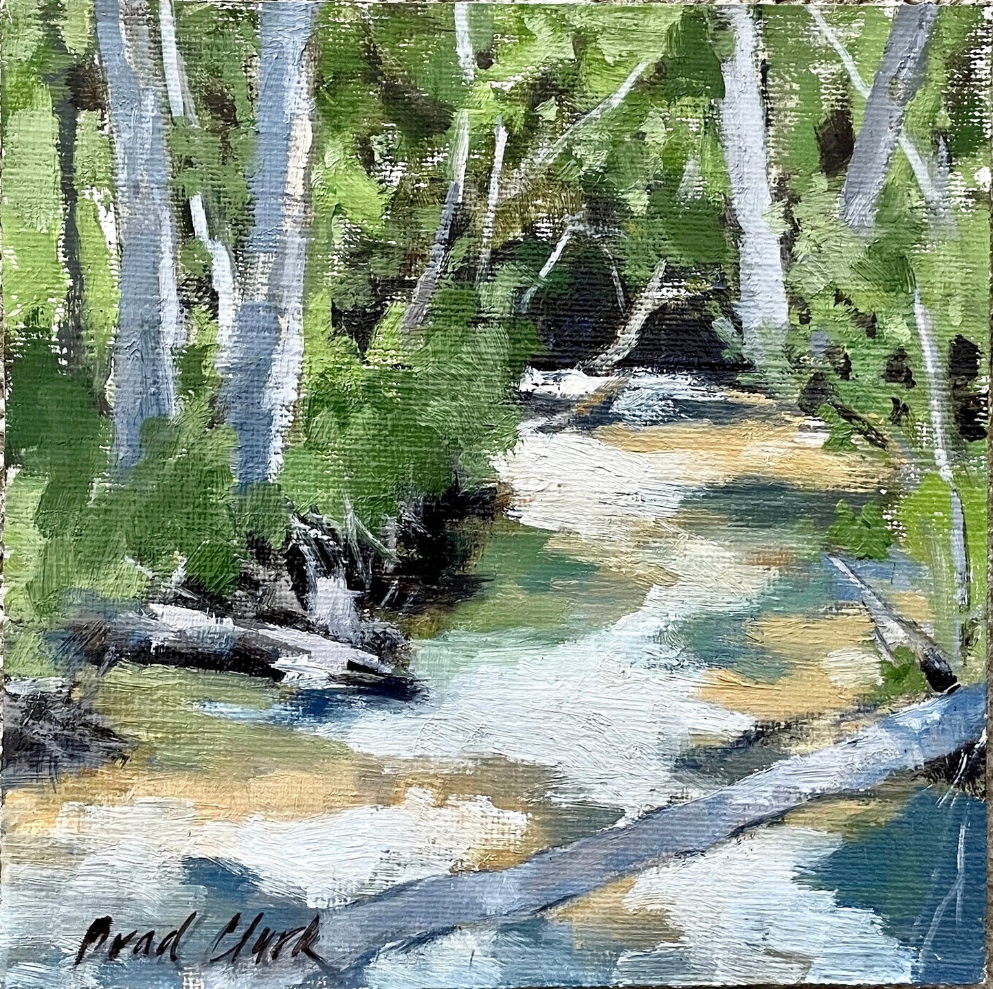 Mountain Stream