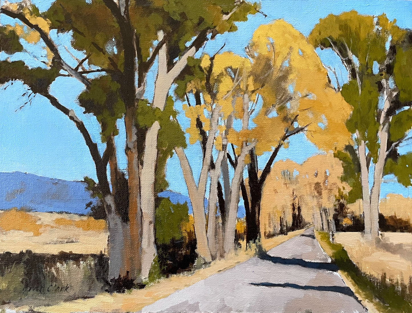 Fall Color Cottonwoods