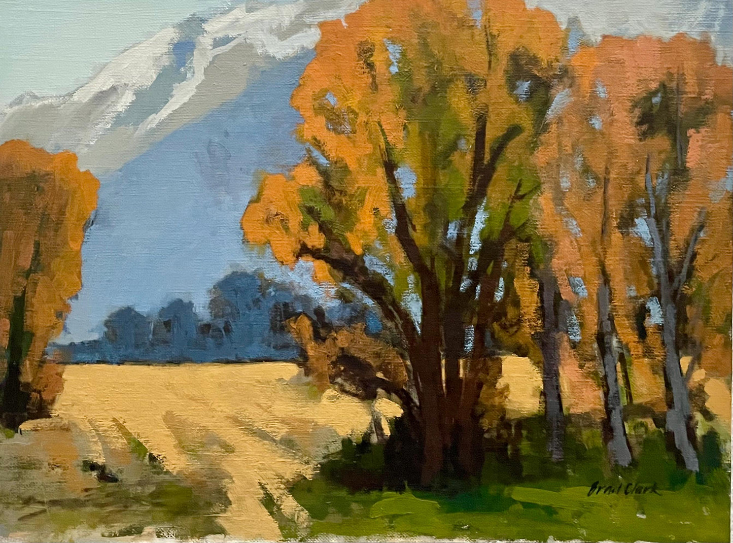 Fall Color Owens Valley