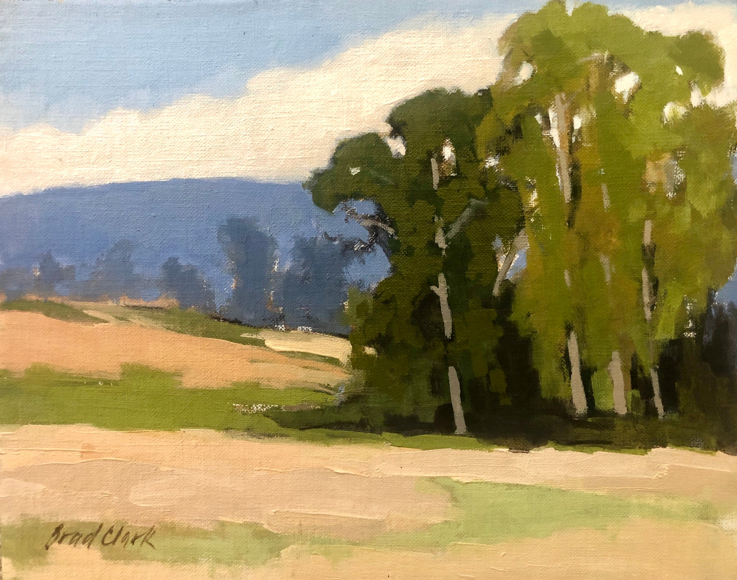 California Landscape