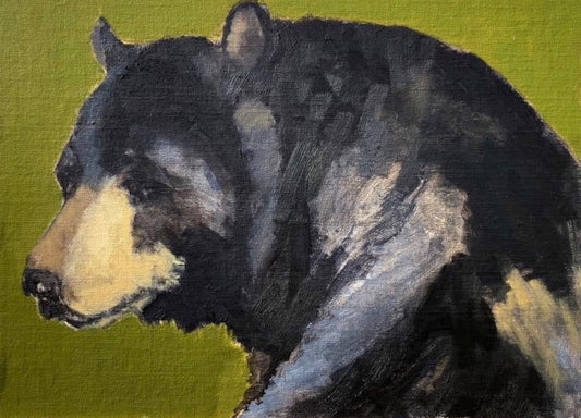 Black Bear Portrait