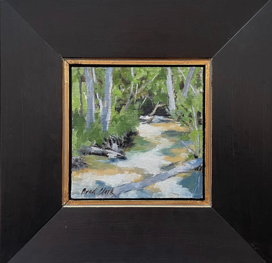 Mountain Stream