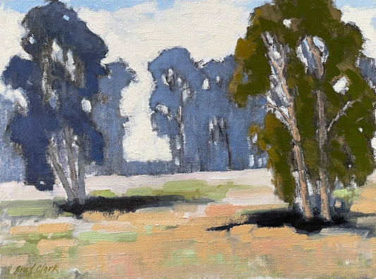 Eucalyptus Grove