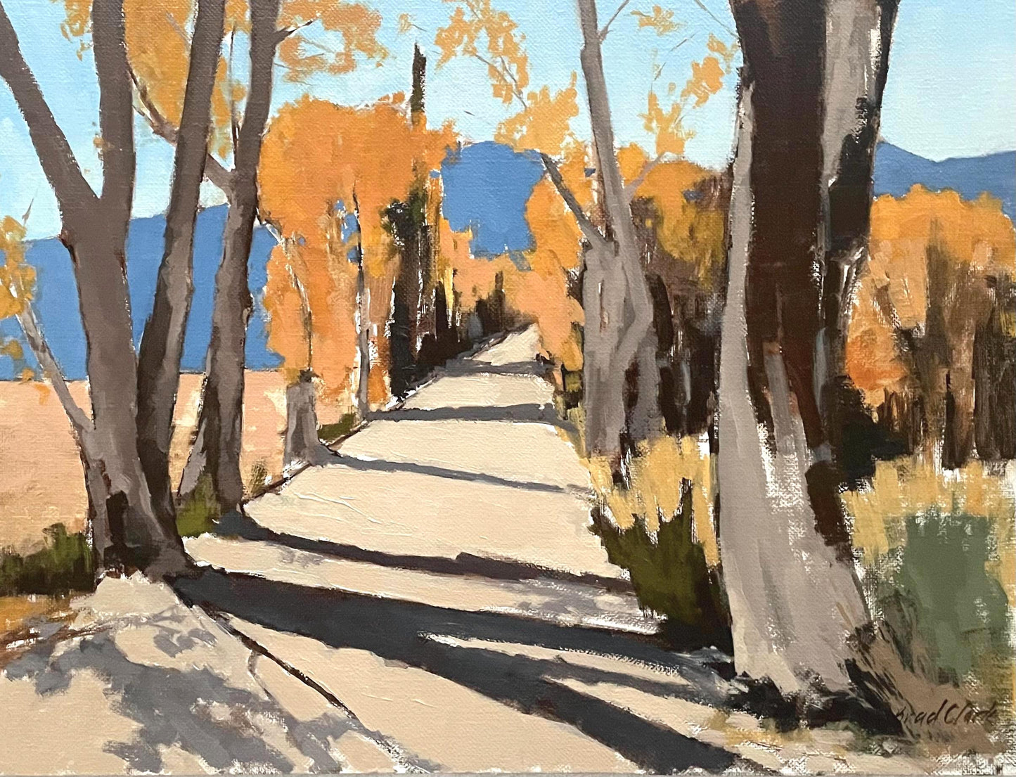Long Shadows
