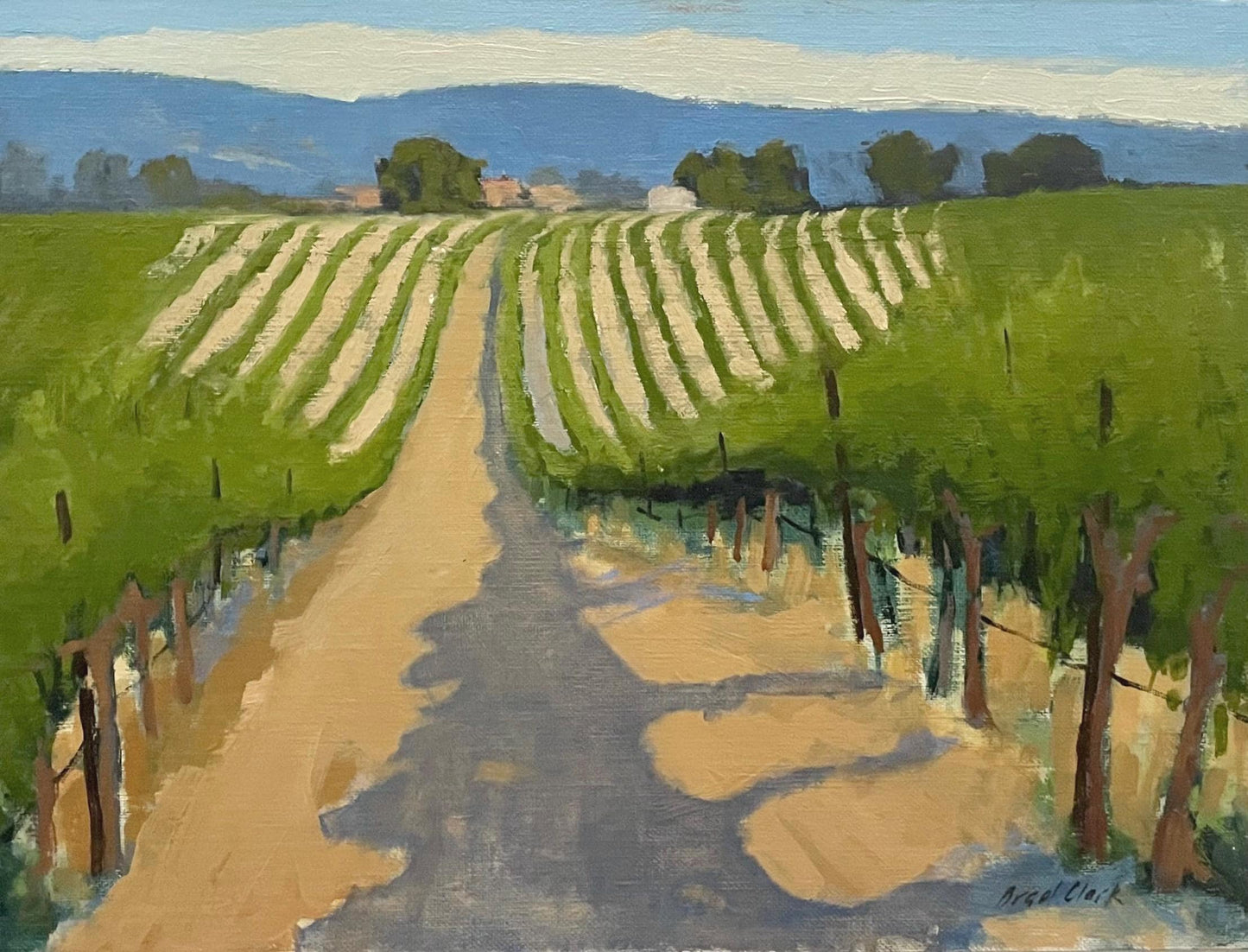 Vineyard View