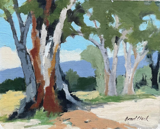 Cottonwoods