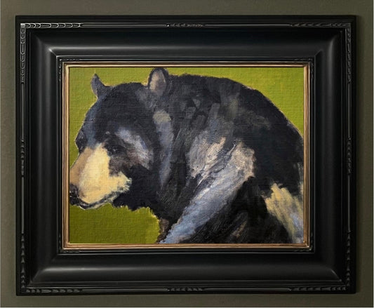 Black Bear Portrait