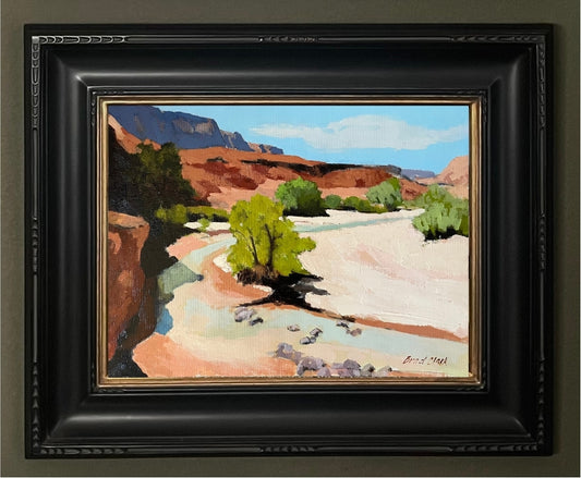 Desert Stream