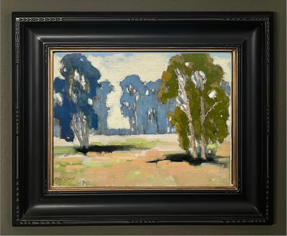 Eucalyptus Grove