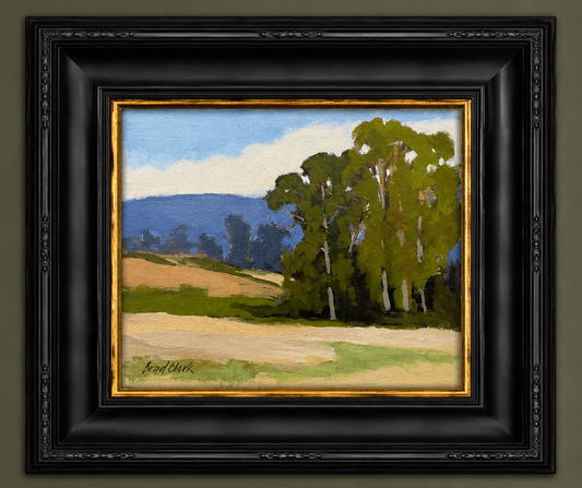 Eucalyptus Stand