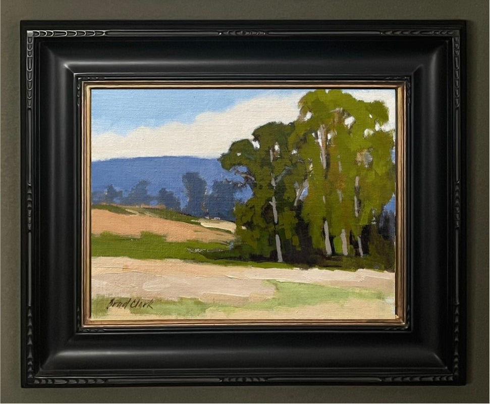 Eucalyptus Stand