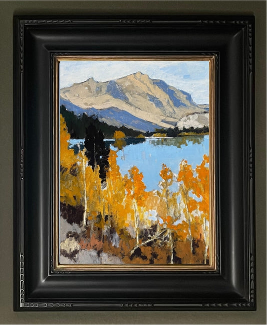 Fall Splendor