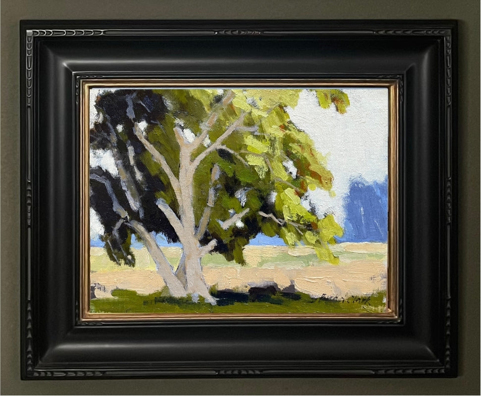 Lone Eucalyptus
