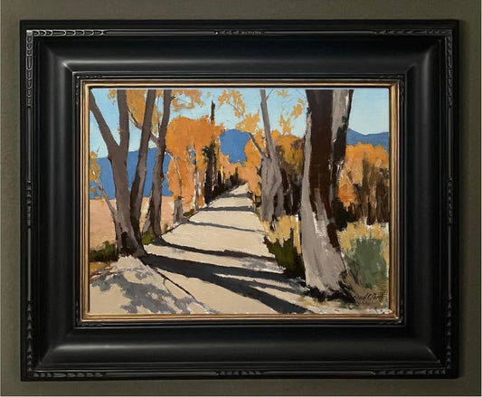 Long Shadows