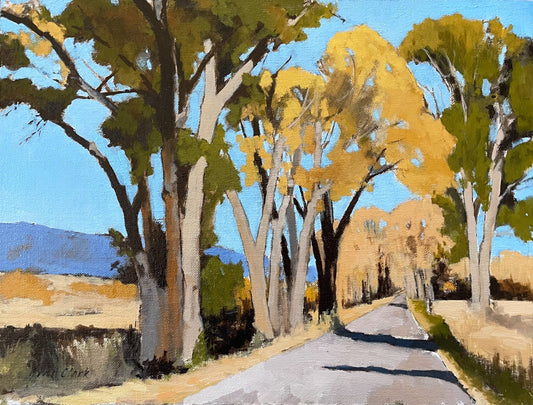 Fall Color Cottonwoods